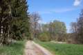 Waldweg